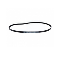 Correia Para Tanquinho LR Wanke Barbara 10KG