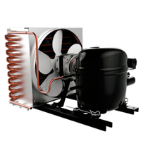 Unidade Condensadora Fracionada sem Tanque 1 HP Tecumseh UTY9455EES/UTY201ESP10S - 220V