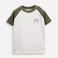 Camiseta de algodão infantil manga raglan skateboard verde
