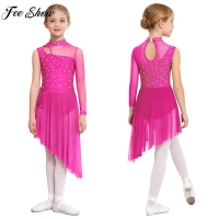 Kids Girls Modern Lyrical Dance Costume Shiny Rhinestones Sheer Mesh Leotard Dress Figure Skating Gymnastics Acrobatics Clothes