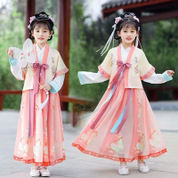 Chinese Hanfu imitates Song Dynasty girls' dresses