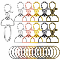 10/16sets D-shaped rotatable alloy keychain clips with metal key rings,suitable for DIY keychain lanyards,bag charms,crafts,gift