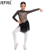 Kids Girls Tassel Latin Dance Dress Mesh Long Sleeve Leopard Print Fringe Leotard Jazz Samba Rumba Tango Competition Dancewear