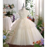 Girls Birthday Party Flower Girl Wedding Princess Dress Childrens Host Piano Performance Gown Pageant Formal Celebration Outfit