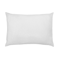 Travesseiro Home Style Ions de Prata