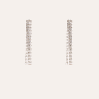 Brinco franjas com strass prateado