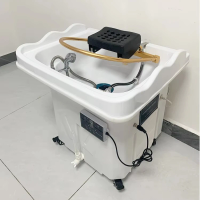 Portable Sink Portable Wash Basin Shampoo Sink Salon Head Spa Equipment