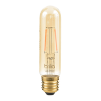 Lâmpada Led Filamento T30 E27 2,5w 127/220v Brilia