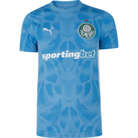 Camisa de Goleiro do Palmeiras II 25/26 Puma Masculina