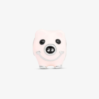 Charm Porquinho em Prata 925