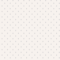 Papel De Parede Vinilico - 2736 + Cola Gratis