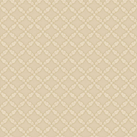 Papel De Parede Vinilico - 2727 + Cola Gratis
