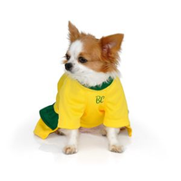 Vestido Brasil Cães Bichinho Chic - Nº 07