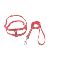 Guia e Peitoral Estampada Dog Santa Fé Pet Vermelha - Nº 01