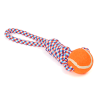 Brinquedo Bolinha Cordão Flicks - Único