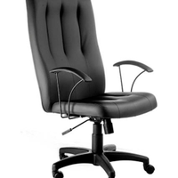 Poltrona Presidente Base GiratÃ³ria Linha Paris