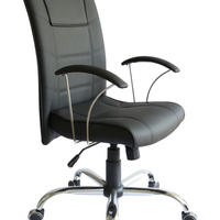 Cadeira Presidente ErgonÃ´mica Linha Vivara