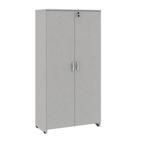 Armário De Escritório New City 2 Pt Cinza 160 Cm