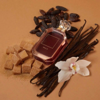KAYALI Vanilla 28 EDP for Women 3.4 Fl Oz Rich Amber Vanilla Fragrance with Brazilian Tonka Musk Patchouli and Amber Woods Ideal Layering Base Scent Gift for Wife Girlfriend Birthday Anniversary