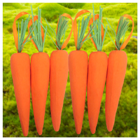 Enfeite Decorativo Páscoa 9 Cenouras Pendentes Isopor 14cm