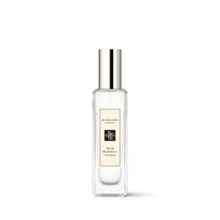 Colônia Wild Bluebell