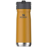 Garrafa Térmica Flip Straw em Inox Saffron 650ml Stanley