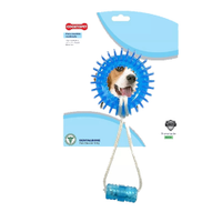 Brinquedo Mordedor Dental Argola Espacial Corda Azul Cães Até 15kg Odo