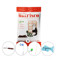 Kit Presente Gatos Versão 2