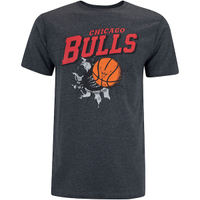 Camiseta do Chicago Bulls Masculina NBA Air Ball