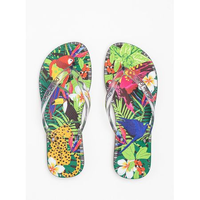 Chinelo Petite Jolie Fresh Translúcido/Tropical 15 PJ6969 38