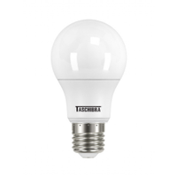 Lâmpada LED Bulbo Taschibra 6500K, Branca 9W Autovolt