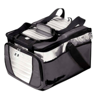 Bolsa Térmica Ice 36 Litros, Mor, Cinza