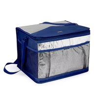 Bolsa Térmica 20 Litros, Mor, Azul