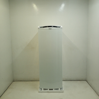 Geladeira Frost Free 337 Litros Consul Com Espaço Extra Frio - Crb39mbbs3_Wbom_Je6490315 220V