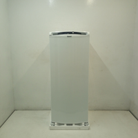 Geladeira Frost Free 297L Consul Com Painel Externo Branca - Crb36mbas1_Wexcele_Je6571590 110V