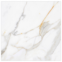 Porcelanato Polido Retificado Modaza Interno Carrara, Classe A 100 x 100 cm
