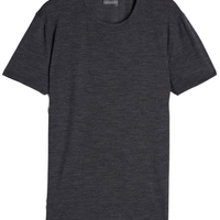Camiseta Lisa Em Lã Merino Elástica - Cinza