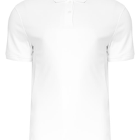POLO MASCULINA BÁSICA INTERLOCK BORDADO - BRANCO