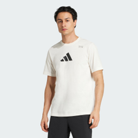 Camiseta Estampada Climacool Category Training Homem adidas