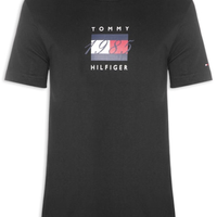 Camiseta Masculina Regular Fit Linear Flag Graphic - Preto