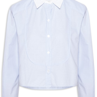 Camisa Feminina Cropped Mini Vichy - Azul