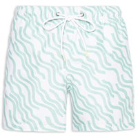 Short Masculino De Praia Estampa Curves - Verde