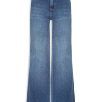 Calça Feminina Helena Dune Used - Azul