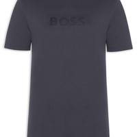 Camiseta Masculina Manga Curta TS Terrace Logo - Azul
