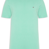 Camiseta Masculina Básica Bandeira Alongada Regular Fit Em Algodão - Verde