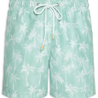 Short Masculino De Praia Coqueiros - Verde