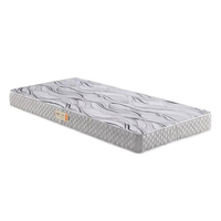 Colchão Solteiro Espuma D20 Ecoline 78x188x12 Cinza