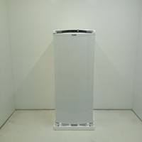 Geladeira Frost Free 297L Consul Com Painel Externo Branca - Crb36mbbs3_Wbom_Jg6087346 220V