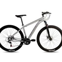 Bicicleta Aro 29 Verden Challenge V21 T17