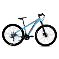 Bicicleta Aro 29 Verden Challenge 21 Marchas